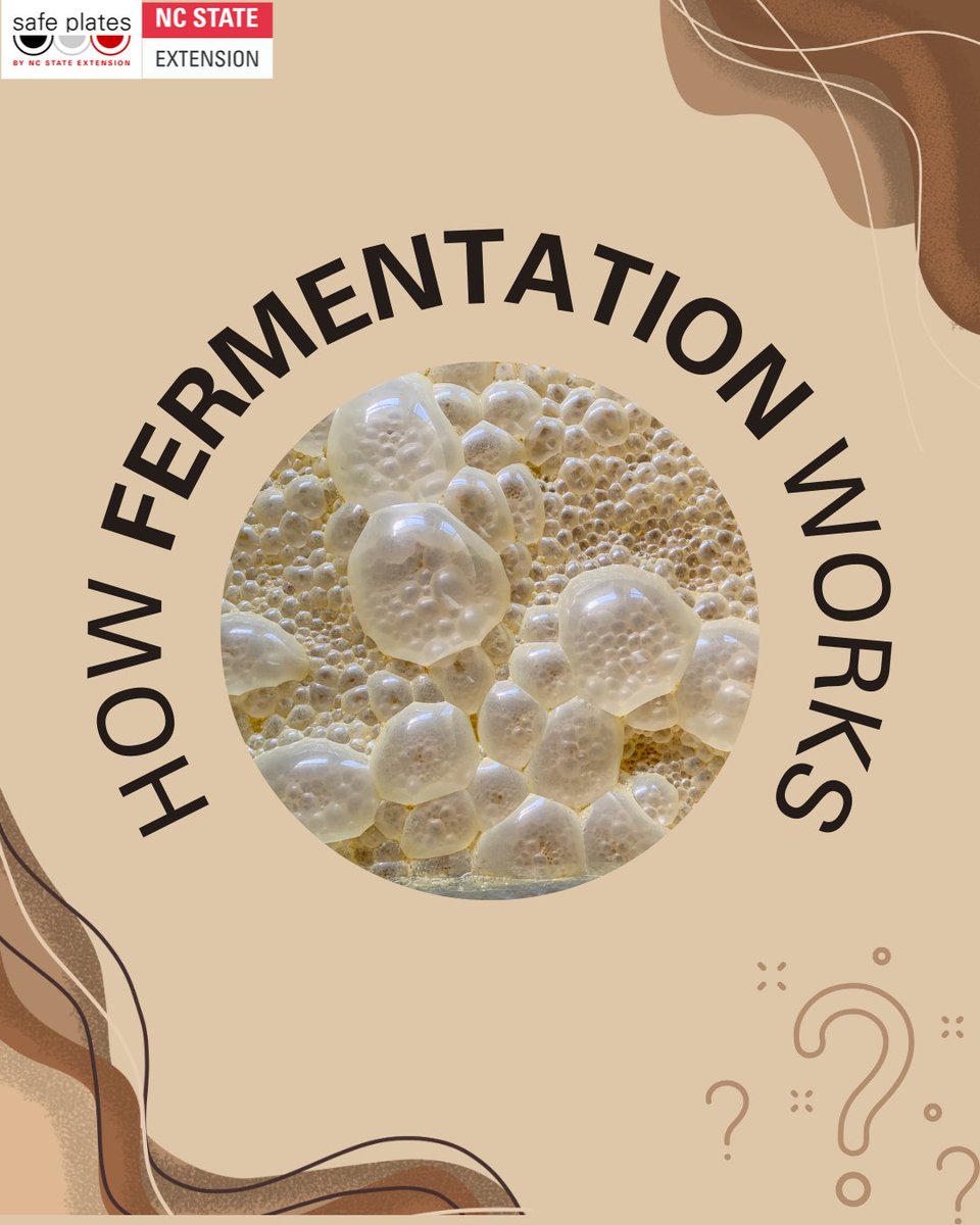 Safe Plates Food Safety Information Center tweet media