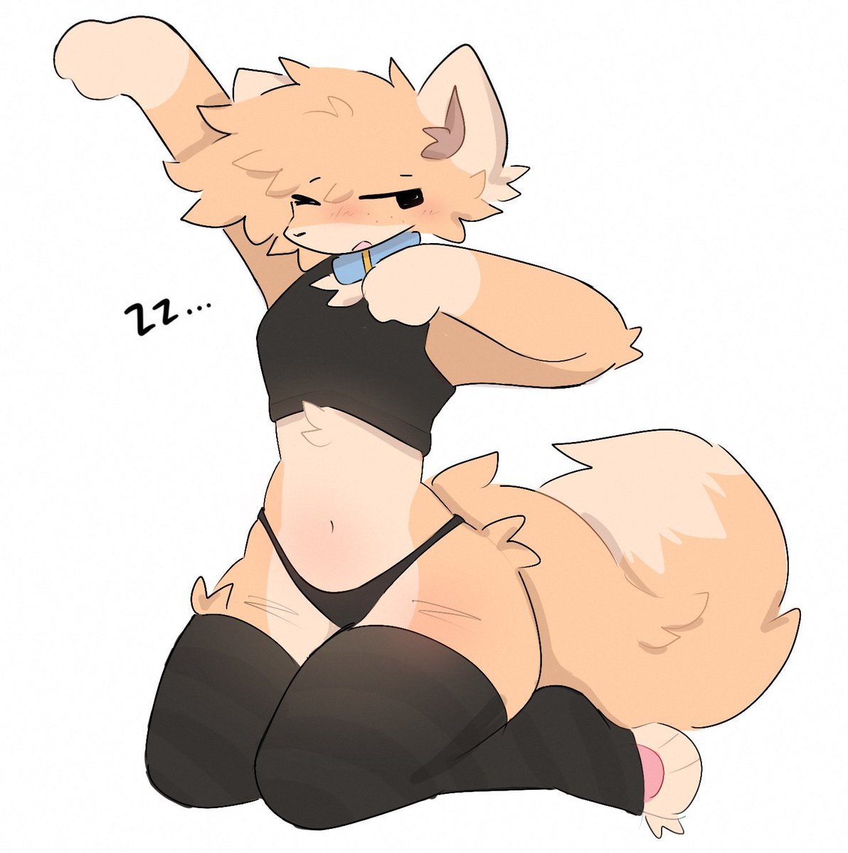 🦊 tweet media
