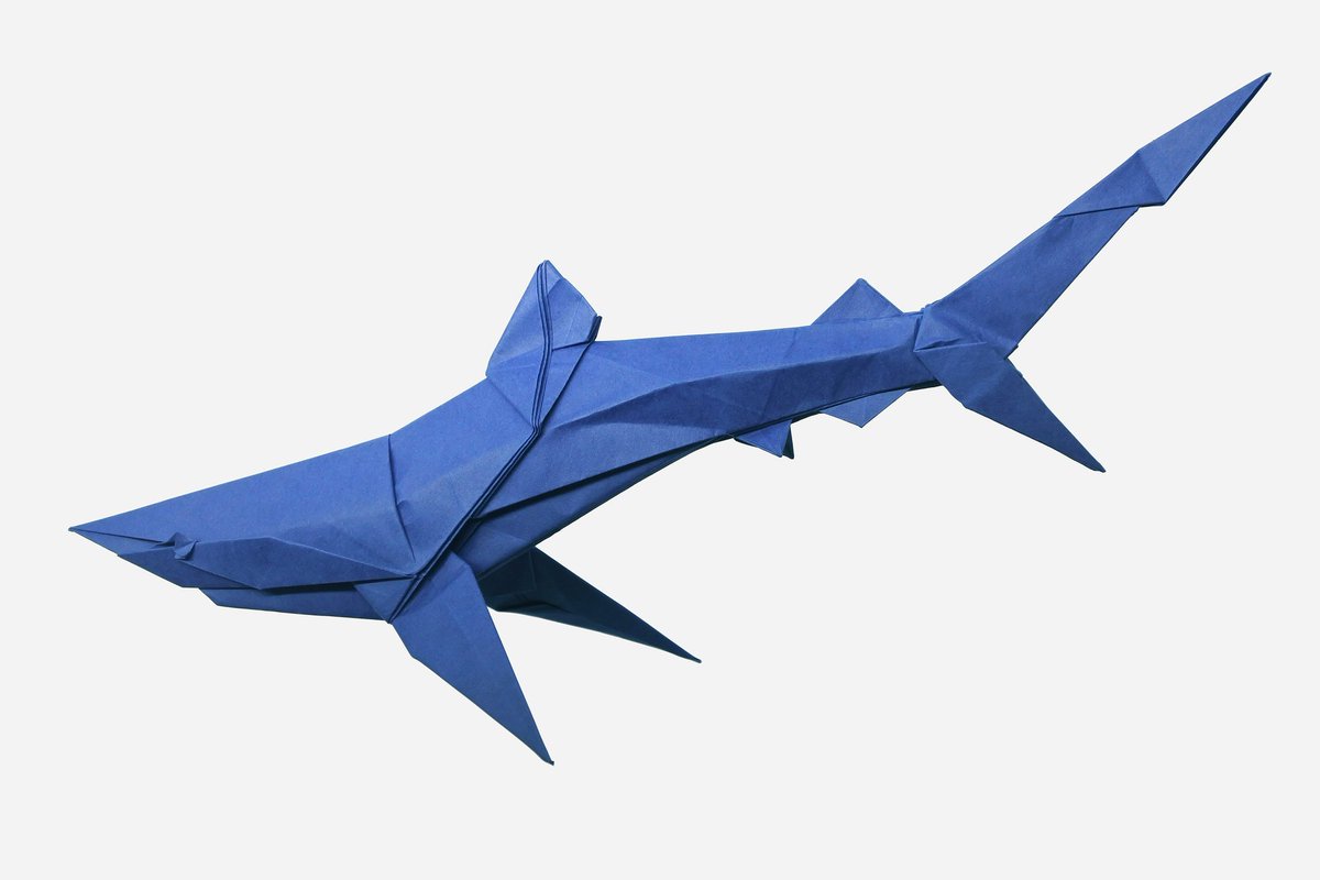 Blue Shark
Designed by me