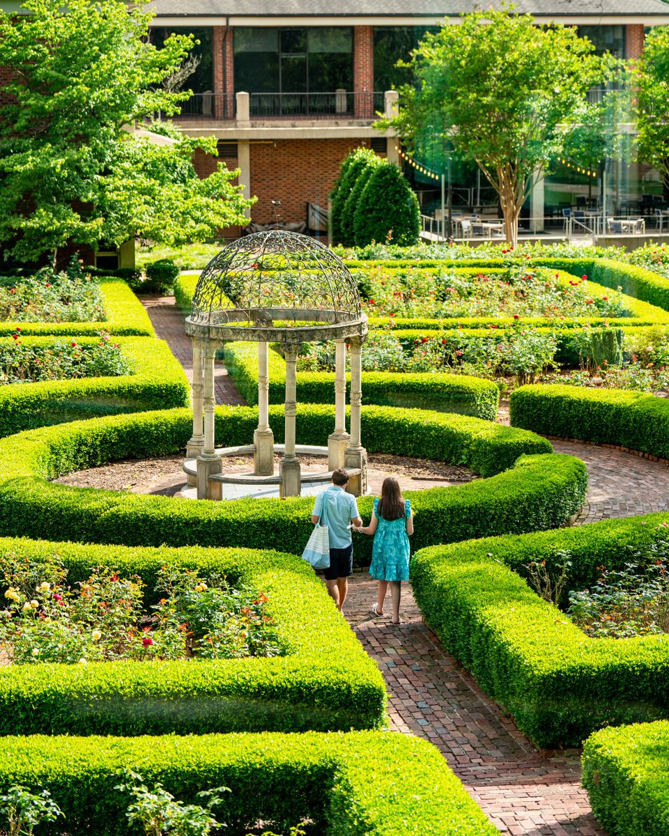 Furman on Netflix? Our campus was recently featured in the latest season of Love on the Spectrum. Keep an eye out for the rose garden and bell tower 🌹💜