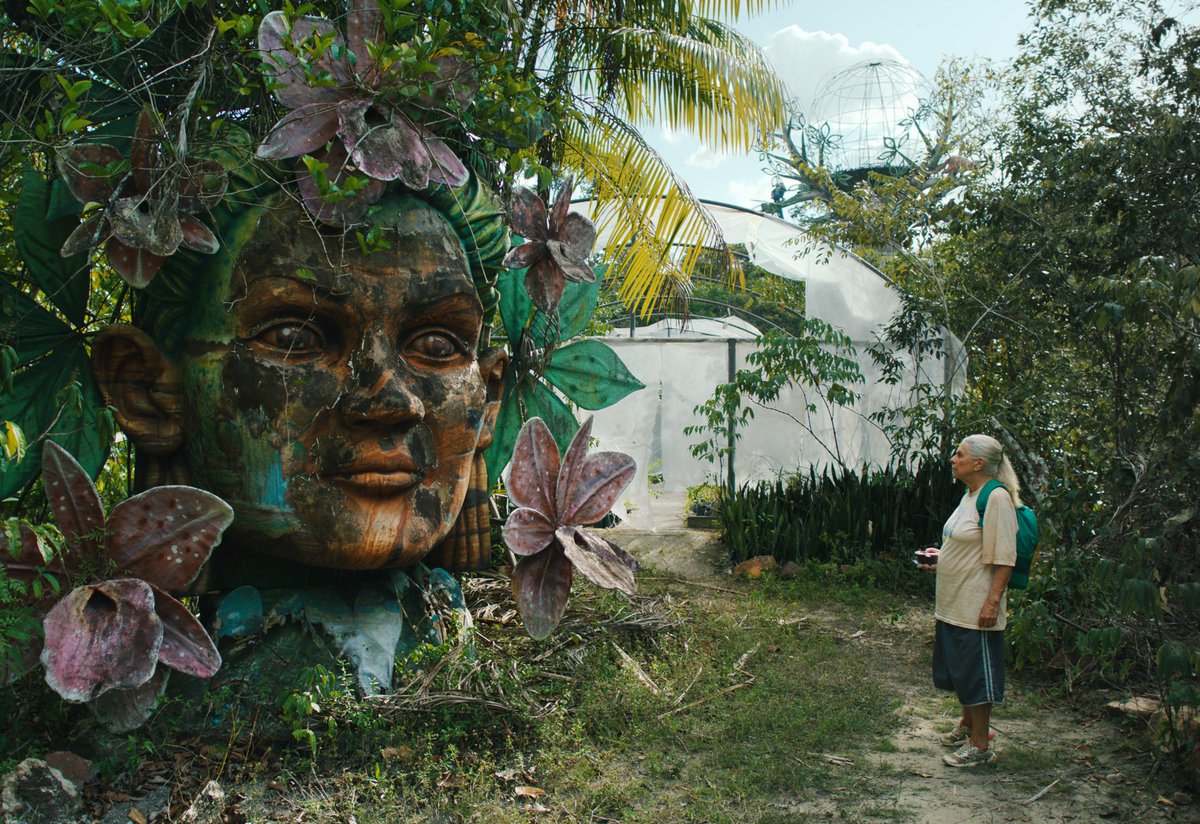 Films We Like is thrilled to announce the acquisition of The Blue Trail (O último azul), the newest film by award-winning filmmaker Gabriel Mascaro (Neon Bull, Divine Love). filmswelike.com/latest-news/20…