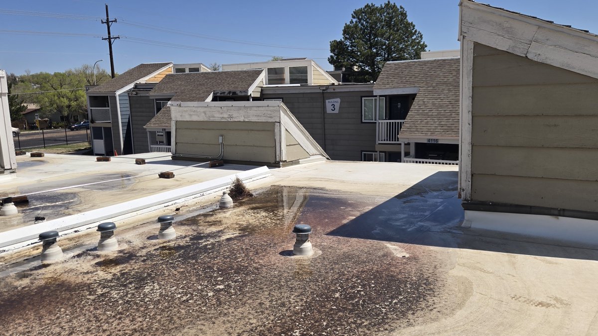 Ponding water on your flat roof? It’s more than just an eyesore — it’s a warning sign. 💧
Cobalt Roofing offers real solutions so you can stop worrying and start protecting your property.
Call us today and feel confident about your roof again.