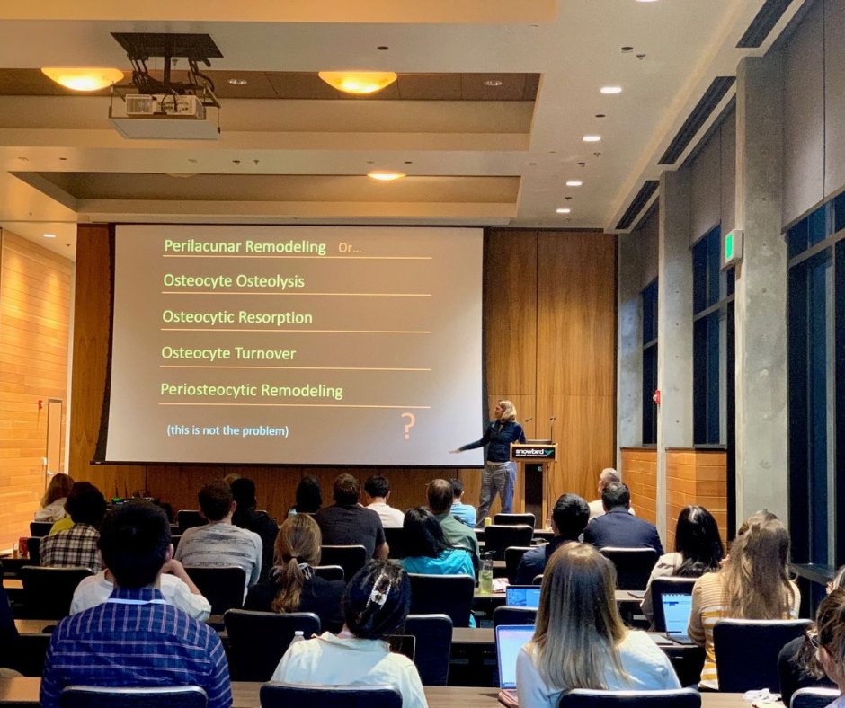 ORSsociety's tweet photo. 🚨 Abstracts Due April 30 for award consideration!
Submit your abstract and register now for the 51st International Musculoskeletal Biology Workshop, July 19-24 in Midway, UT. Explore challenges in #musculoskeletal disease and innovative solutions. 
https://t.co/RfzYbUVNnR https://t.co/RjkQU9uRbw