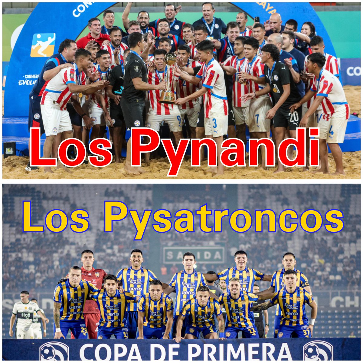 No espero nada de ustedes... Solo importa los colores 💙💛