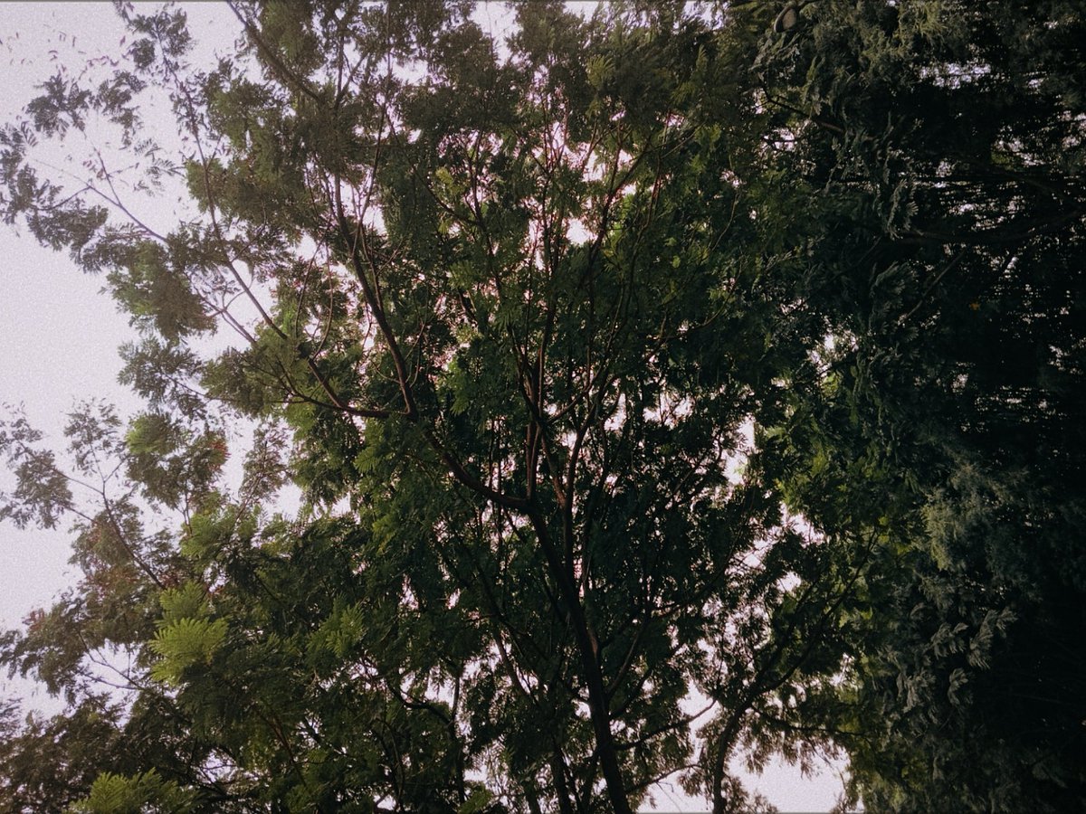 christine (@balmingseas) on Twitter photo 