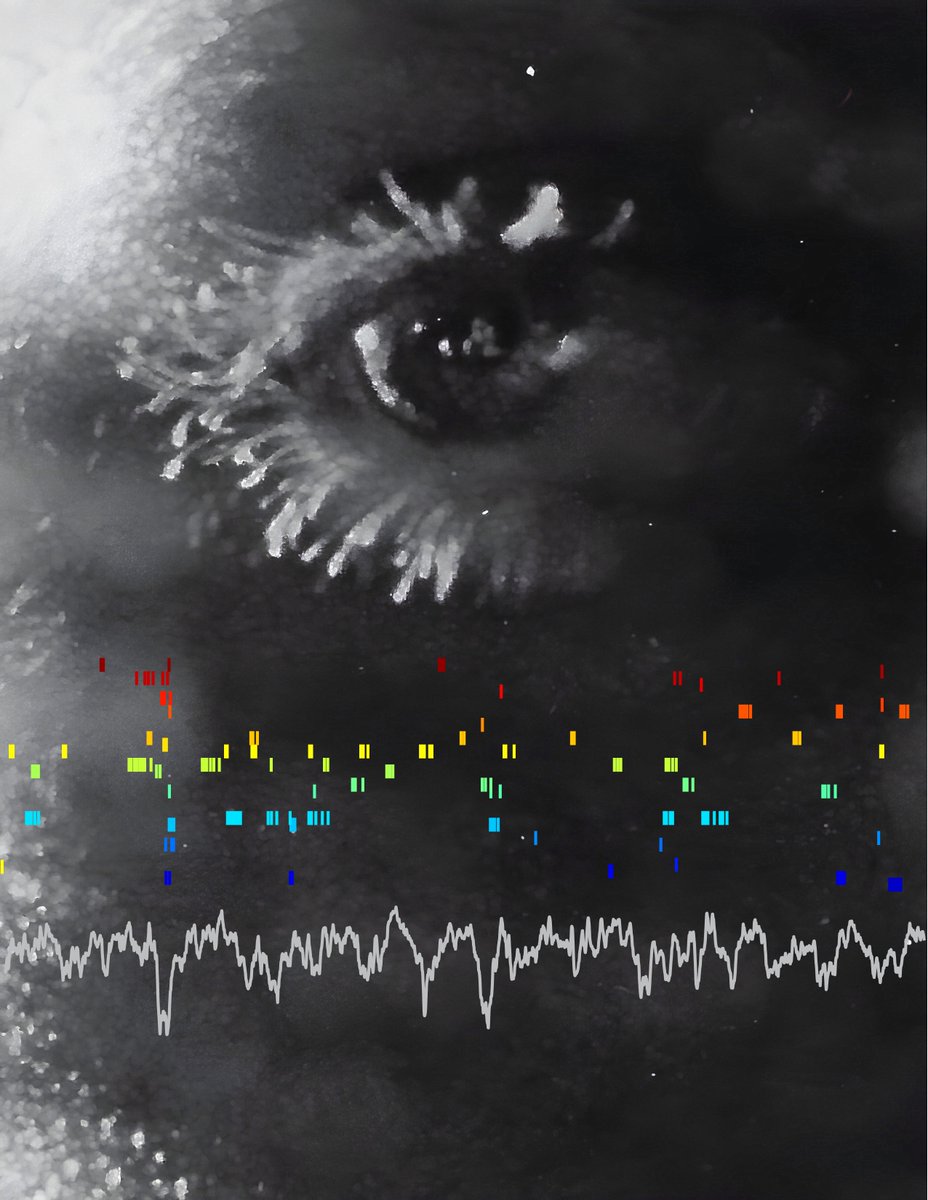 Annabelle Singer tweet media