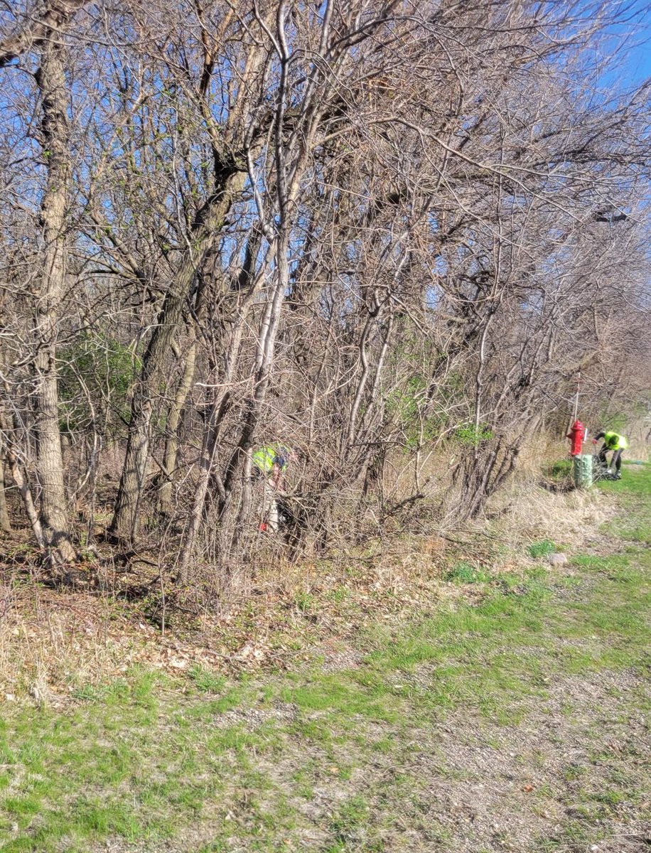 Shoutout to the City of Primghar, Iowa for helping us celebrate Earth Day yesterday! 🌎💚

10 volunteers rolled up their sleeves in West Okoboji and collected 17 bags of litter from the city’s tree-lined areas as part of our Pick-Up Iowa program.

#PickUpIowa