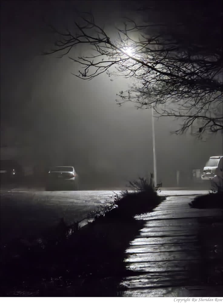 Here's my latest blog post with links to this month's Ladies of Horror Flash Project and a little bonus poem.

ideal-reader.blog/2025/04/23/pub…