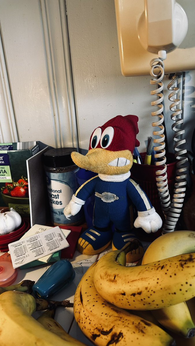 Is this a collectible? #woodywoodpecker #woody #plush #plushtoy #toy