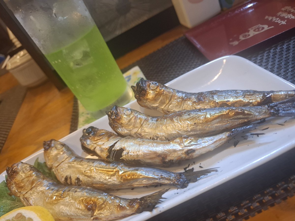 イワシの舞💃🐟️🕺🐟️💃