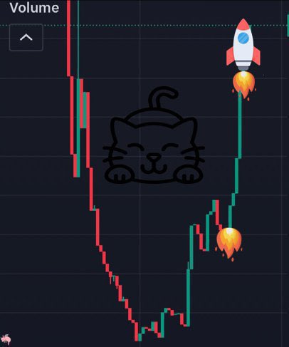 Which #Crypto Project Will Make You A Millionaire? 💰