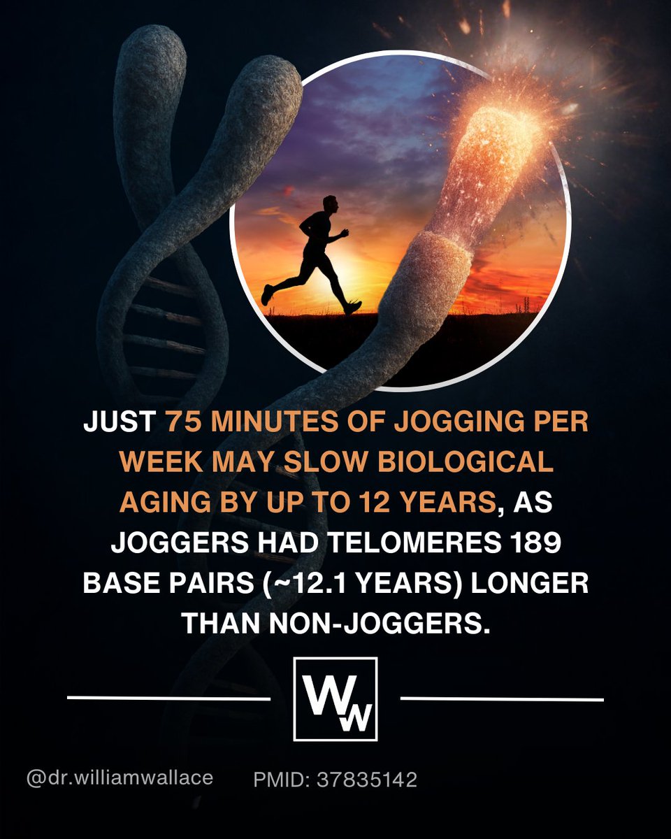 Recent research (PMID: 37835142) suggests that jogging or running for at least 75 minutes per week may provide a significant advantage in cellular aging (as measured by leukocyte telomere length - see below for limitations). Telomeres, the protective caps at the ends of