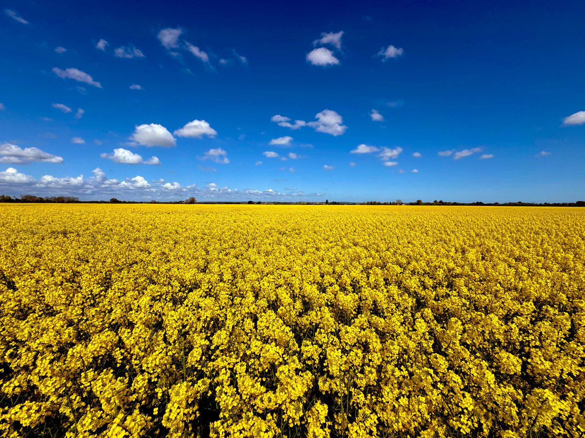 Better than last year, wished it all looked like this. #OSR25