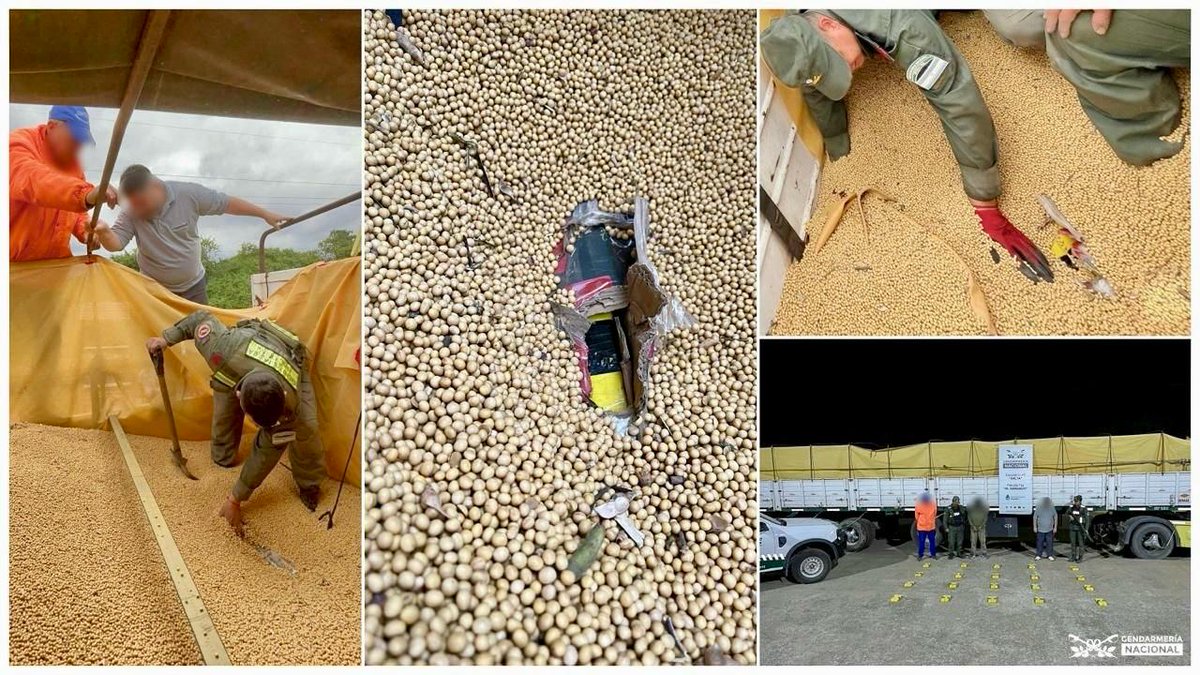 #Salta
⭕️ Secuestraron más de 20 kilos de cocaína.

Gendarmes del Escuadrón 45, detuvieron la marcha de un camión semirremolque con soja a granel, destino la ciudad de Rosario.

Utilizando palas para remover los granos, descubrieron 20 paquetes ocultos en el fondo.