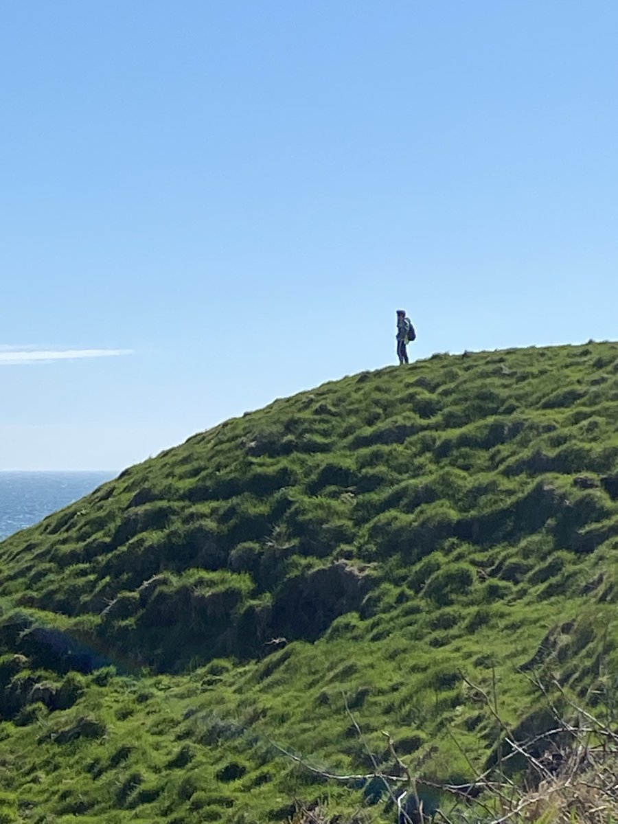 StPatrickCentre's tweet photo. Perfect day for St Patrick’s Way, Ballyhornan☘️ https://t.co/P1qv7DO6mQ
