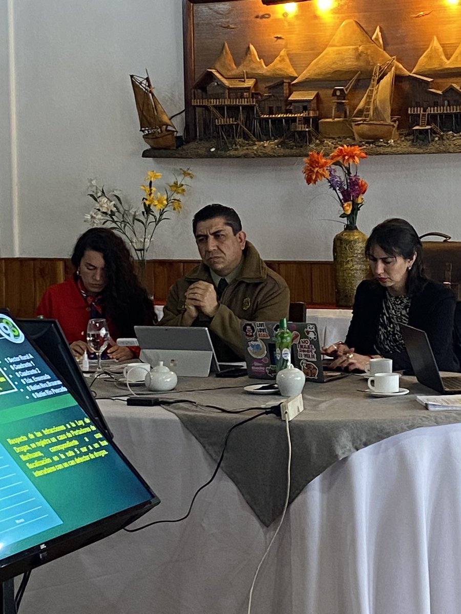 Carabineros Región de Los Lagos tweet media