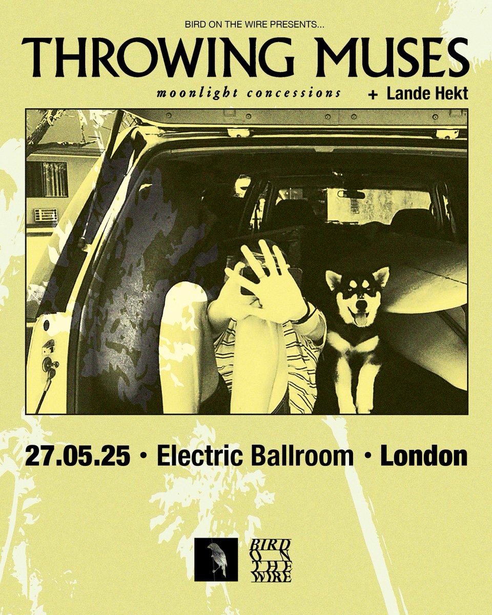 Electric Ballroom (@eballroomcamden) on Twitter photo 📣Show Update - Support Announcement📣
<a href="/landehekt_/">Lande Hekt</a> will be joining <a href="/throwingmuses/">Throwing Muses</a> on their upcoming London show on the 27th of May!
Remaining tickets via the link below:
electricballroom.seetickets.com/event/throwing… 📣Show Update - Support Announcement📣
<a href="/landehekt_/">Lande Hekt</a> will be joining <a href="/throwingmuses/">Throwing Muses</a> on their upcoming London show on the 27th of May!
Remaining tickets via the link below:
electricballroom.seetickets.com/event/throwing…