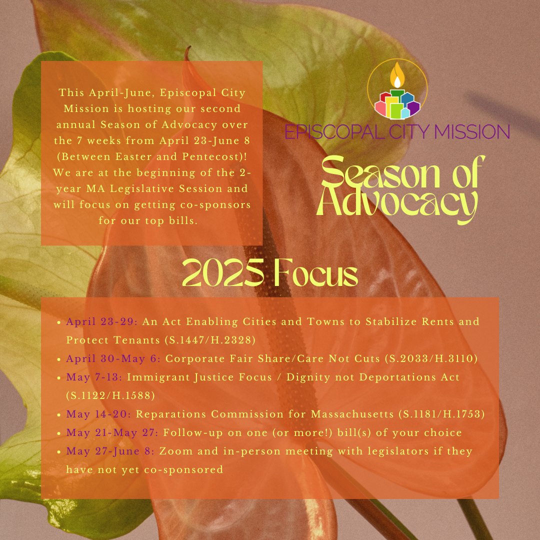 Episcopal City Mission tweet media