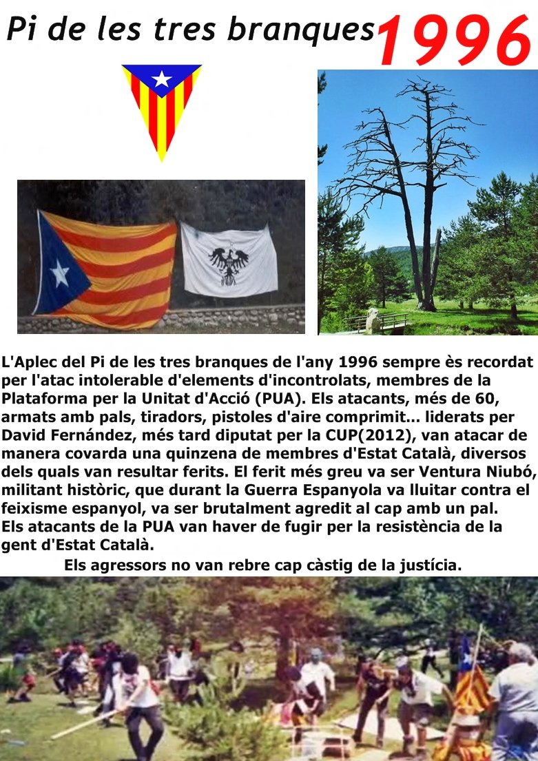 Albert Sant Esteve (@albertsanmont) on Twitter photo <a href="/EndavantBages/">Endavant Bages</a> Sou el cavall de Troia del veritable feixisme, el espanyol, que gràcies als vostres "esforços", està acabant la feina de destruir Catalunya.
Recordeu el 1996 quant vàreu atacar el Pi de les tres branques ?
Era feixiste també l'aplec oi ?
TRAÏDORS !! <a href="/EndavantBages/">Endavant Bages</a> Sou el cavall de Troia del veritable feixisme, el espanyol, que gràcies als vostres "esforços", està acabant la feina de destruir Catalunya.
Recordeu el 1996 quant vàreu atacar el Pi de les tres branques ?
Era feixiste també l'aplec oi ?
TRAÏDORS !!