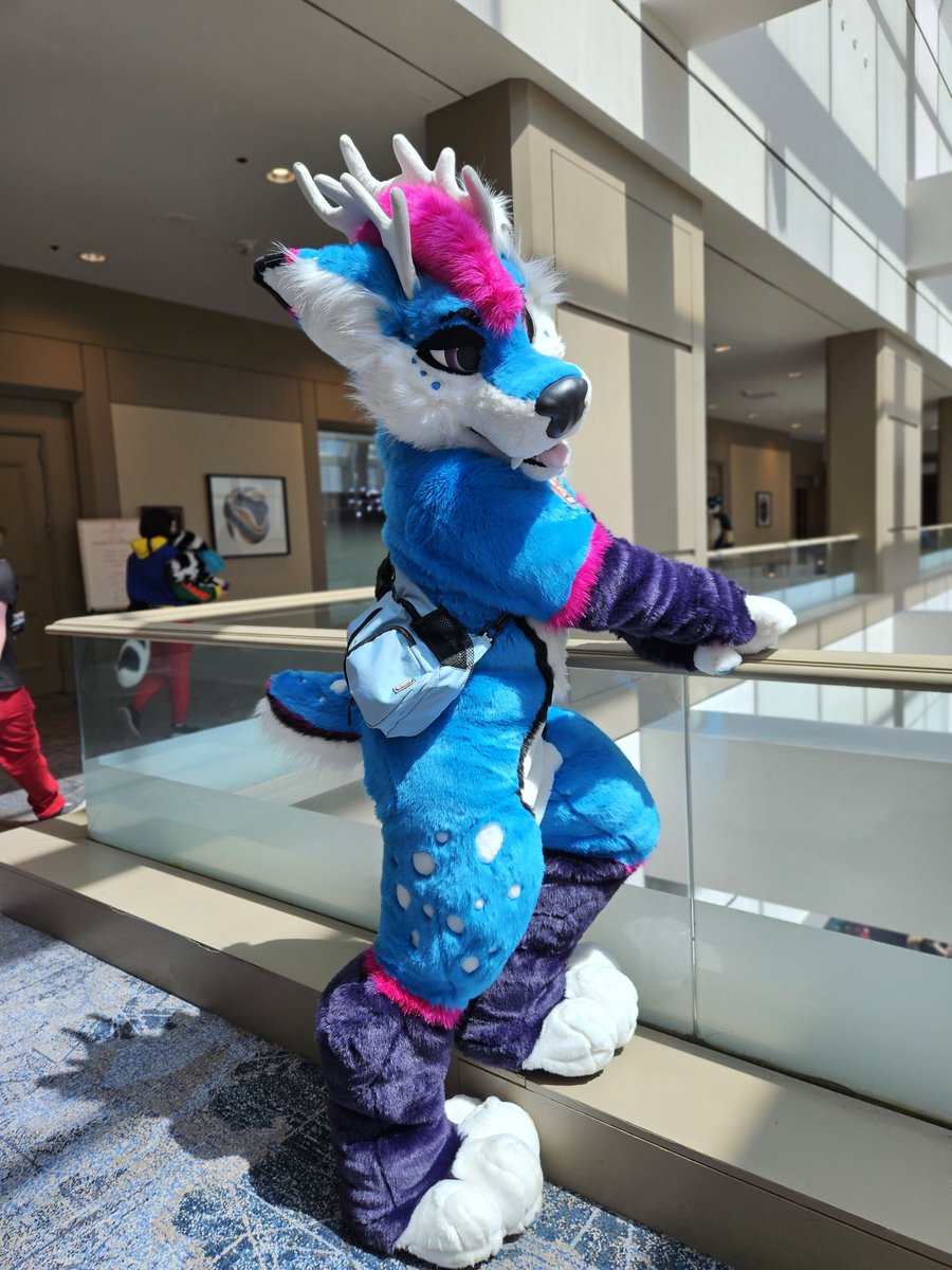 Ralph Da Dox ๐ FWA (@ralphdadox) on Twitter photo Hey there cutie. How about you join me and we can go on an adventure.
๐ธ <a href="/SparkleyStar02/">๐ดCosmic the Wolf๐ด</a> Hey there cutie. How about you join me and we can go on an adventure.
๐ธ <a href="/SparkleyStar02/">๐ดCosmic the Wolf๐ด</a>