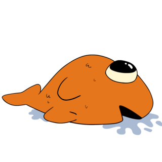 cpa_mal's tweet photo. Poisson Steve https://t.co/UHMbOPN8Pq