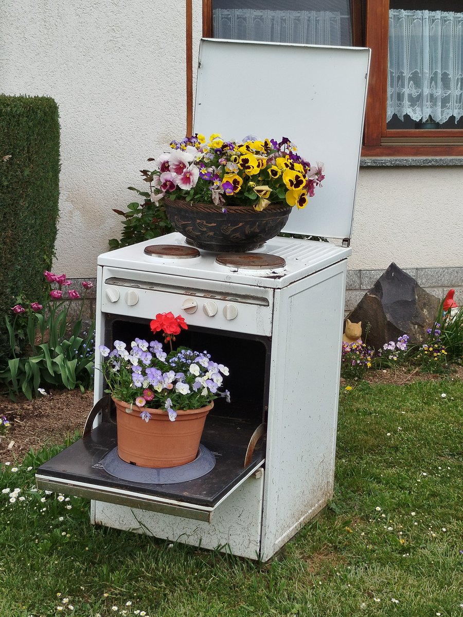 "Liebling, ich habe Blumenkuchen gebacken!"😀