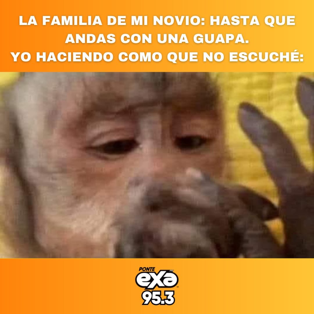 exafm_tampico's tweet image. 🤣🤣
•
•
•
#exafm #exameme