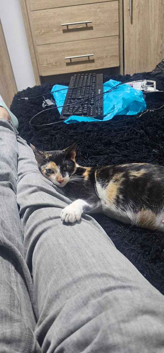 ChikoFlamer tweet media