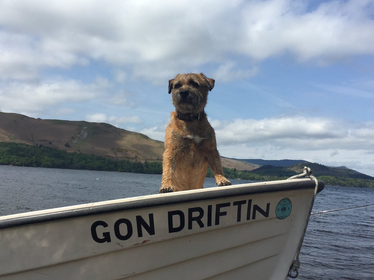 PupButterwick 🇬🇧 tweet media