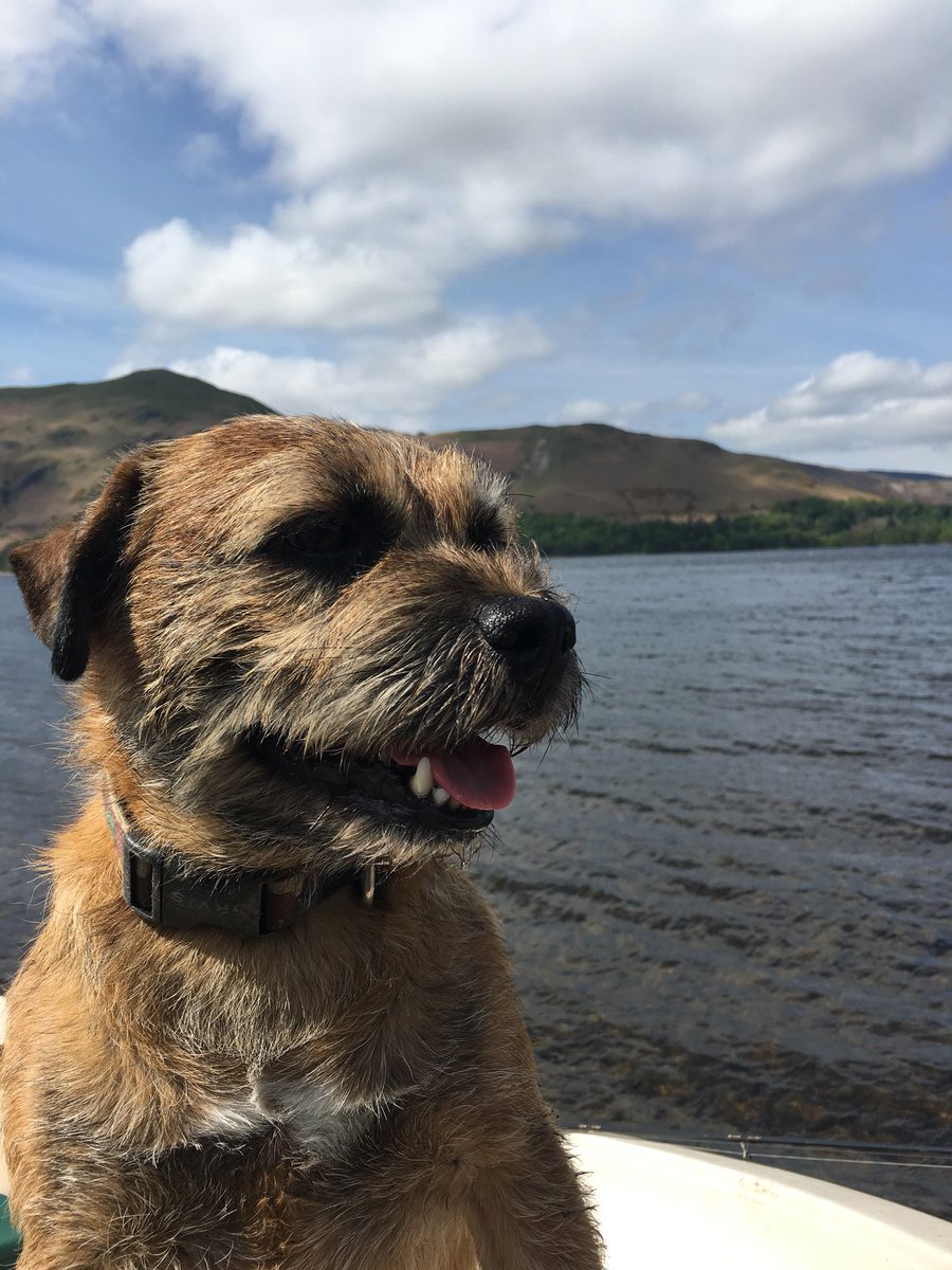 PupButterwick 🇬🇧 tweet media