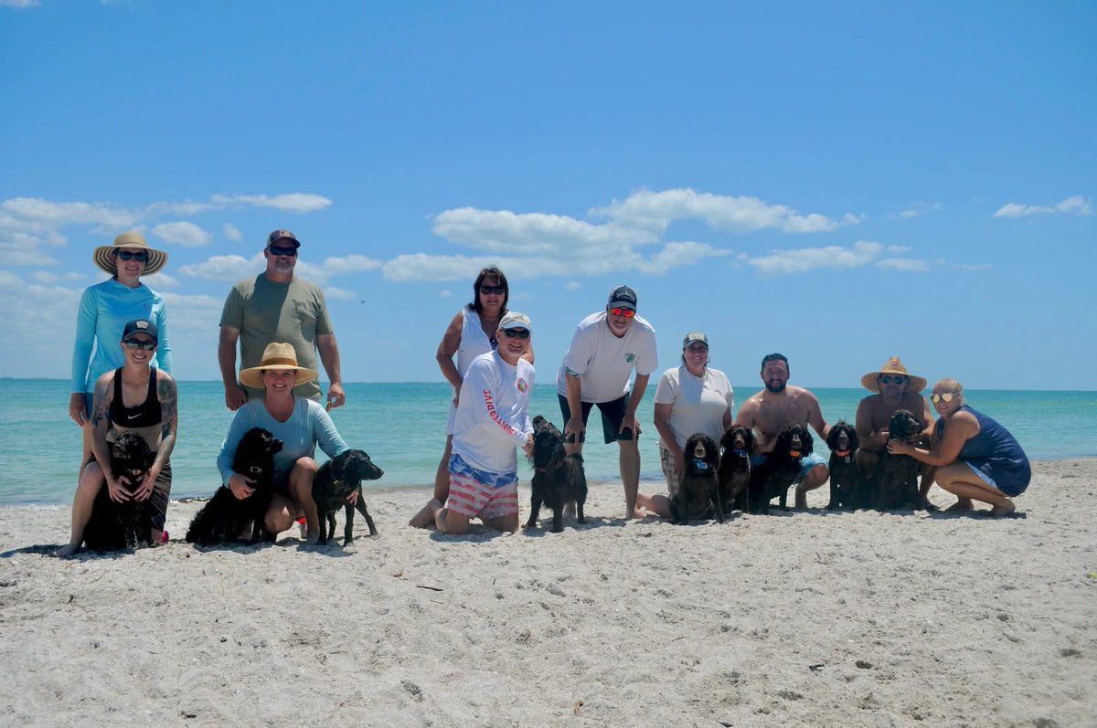 SoBoykinSpaniel's tweet photo. SAVE THE DATE!! Our annual Wet n’ Wild weekend is June 21 &amp; 22! Dock diving on Saturday at Florida West Coast Air Dogs, dinner together at a Dog friendly location in Bradenton  and Sunday is BEACH day at Fort Desoto Dog Beach. Tickets will be available on our website https://t.co/VN0wgfQJ13