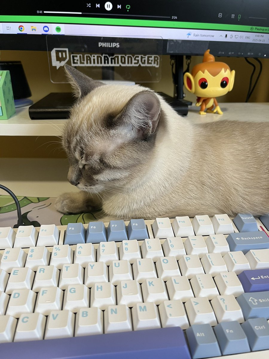 Toji has been working very hard and is happy to announce our return to regularly scheduled streams starting tomorrow &lt;3