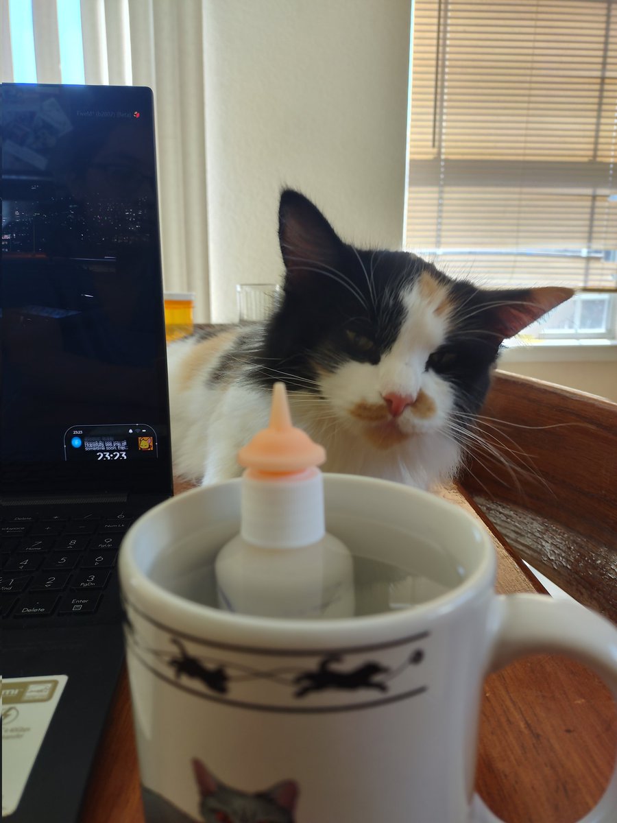 Warmy uppies a battle fors da babi