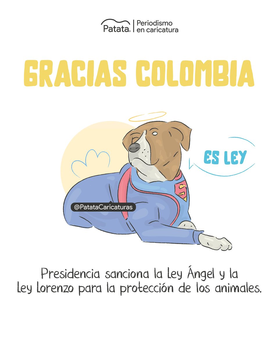 PATATAdibujo's tweet image. Es oficial: Ángel y Lorenzo son leyes de Colombia 🇨🇴 🫰🏽