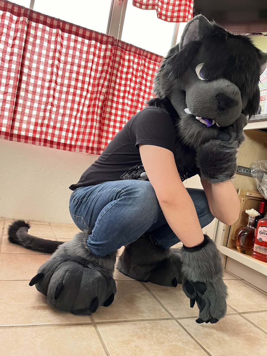 AngelLunaStudio's tweet photo. I haven’t abandoned you! I’m more active on my other socials, but! Please welcome out newest family member! Chris the lion! Our first big cat!!! It was so much fun making something new! Some of my top tier work!!! 💕🫶
#furry #fursuit #fursuitmaker #fursuiter https://t.co/B3mDDkakZL