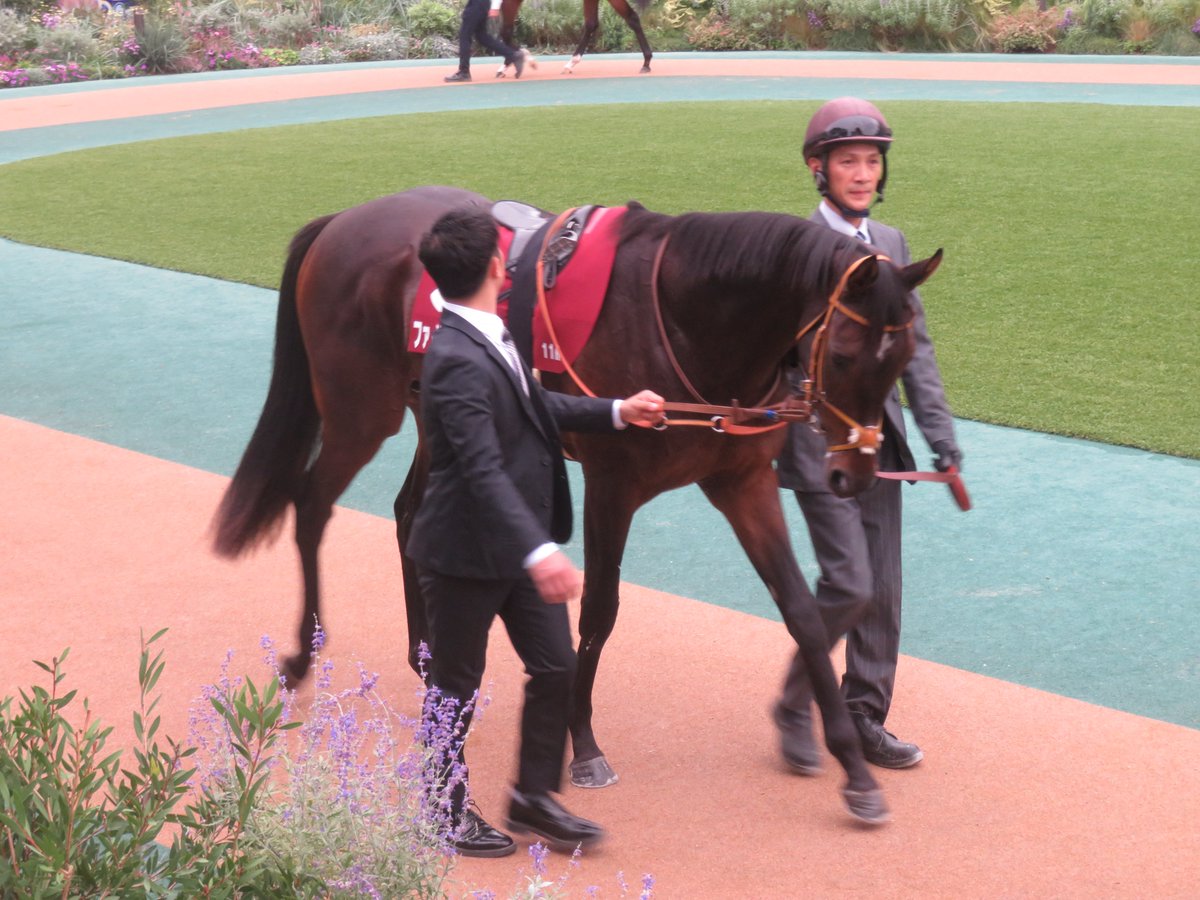 R_E_Y_D_E_O_R_O's tweet image. ファイアンクランツ #東京スポーツ杯2歳S