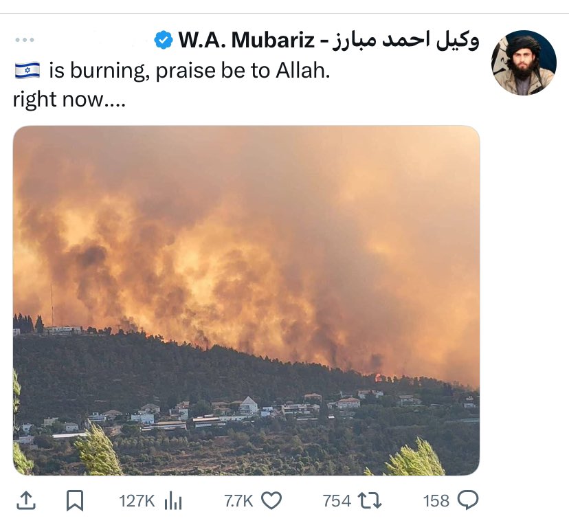 Our shared land is burning and self appointed pro-Palestine people are celebrating.
Shame on you.
Shame on you.