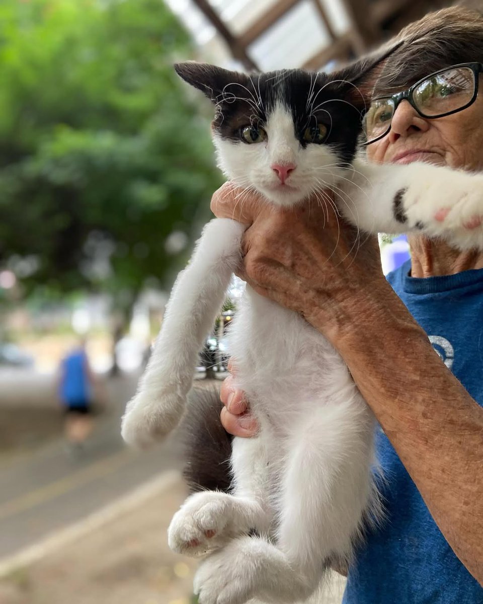 Animais Recife 🐶🐱🐾 tweet media