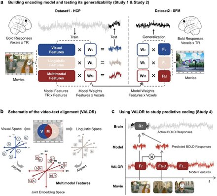 Dr_Alex_Crimi's tweet image. Comprehensive Neural Representations of Naturalistic Stimuli through Multimodal #DeepLearning 🧠
biorxiv.org/content/10.110…
#neuraldecoding
#AI
