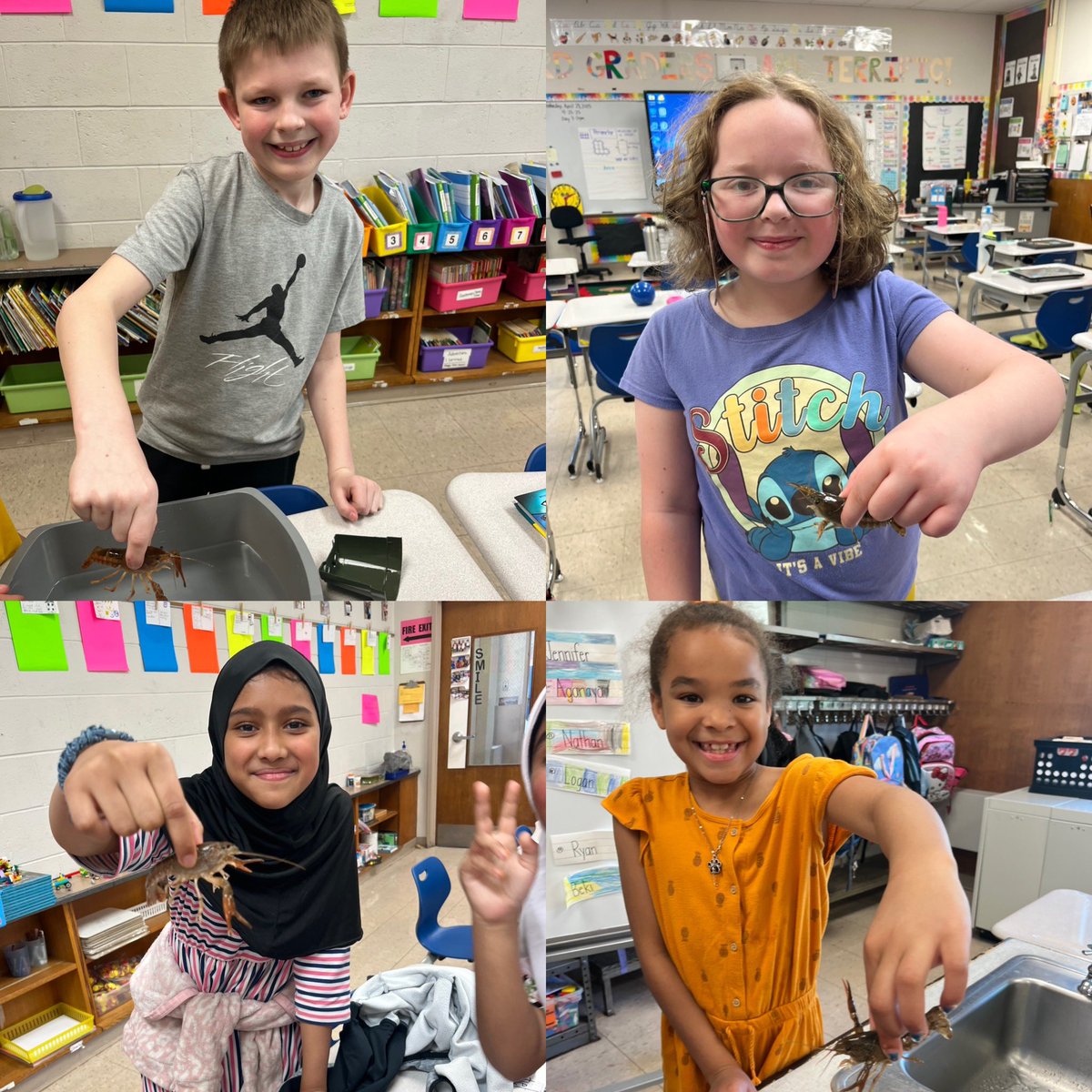 The day that crayfish arrive = the BEST day!! 3rd graders were so excited to pick up the crayfish and begin learning about them. 🦞😁 <a href="/OakPark_NPSD/">Oak Park Elementary School</a>