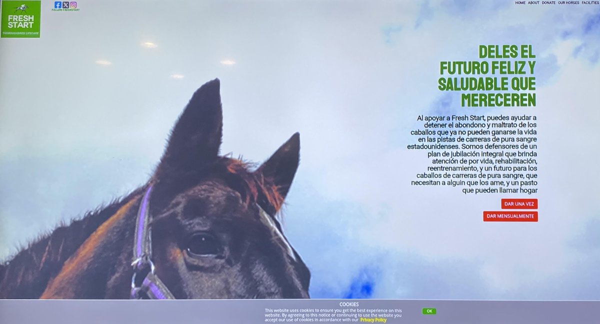 Big News! Thanks to my prodding, K's <a href="/freshstarttblc/">@FreshStartTBLC</a> website's home page is now available in 8 languages! Online donations in 11 currencies, too! Please share with fellow horse lovers and racing fans everywhere! Together, we CAN make a difference! Visit freshstart-tblc.org As