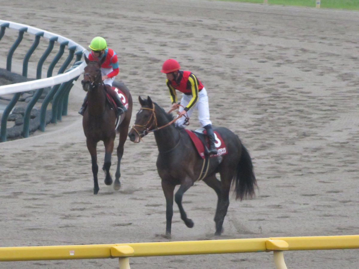R_E_Y_D_E_O_R_O's tweet image. #東京スポーツ杯2歳S の時のファイアンクランツと菅原明良騎手、デルアヴァーと三浦皇成騎手 青葉賞ではファイアンクランツにはモレイラ騎手が騎乗予定 デルアヴァーは京都新聞杯に出走予定