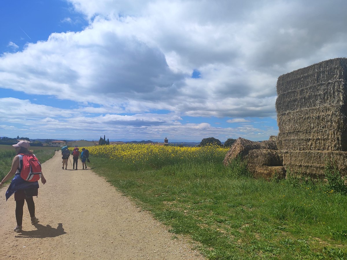 IES Juan de Mairena (@sectionmairena) on Twitter photo ¡Los chicos de 1ºESO han comenzado el Camino de Santiago!
Hoy han completado la primera etapa con ilusión, esfuerzo y muchas sonrisas.
¡Son unos campeones!
#BuenCamino #CaminoDeSantiago #1ESO
<a href="/ampamairena/">AMPA JUAN DE MAIRENA</a> <a href="/sansecomunica/">Ayuntamiento de San Sebastián de los Reyes</a> ¡Los chicos de 1ºESO han comenzado el Camino de Santiago!
Hoy han completado la primera etapa con ilusión, esfuerzo y muchas sonrisas.
¡Son unos campeones!
#BuenCamino #CaminoDeSantiago #1ESO
<a href="/ampamairena/">AMPA JUAN DE MAIRENA</a> <a href="/sansecomunica/">Ayuntamiento de San Sebastián de los Reyes</a>