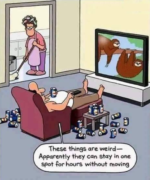Wanabee Kiwi Comedian tweet media