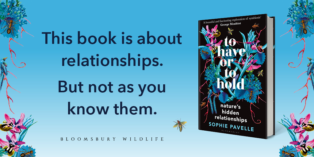 Bloomsbury Wildlife (@chiffchat) on Twitter photo What can nature teach us about living together?
Investigating eight symbiotic relationships trying to survive the climate and biodiversity crises, award-winning author <a href="/sophiepavs/">Sophie Pavelle</a> explains why it has never been more vital for us to understand symbiosis.
Available to pre-order! What can nature teach us about living together?
Investigating eight symbiotic relationships trying to survive the climate and biodiversity crises, award-winning author <a href="/sophiepavs/">Sophie Pavelle</a> explains why it has never been more vital for us to understand symbiosis.
Available to pre-order!