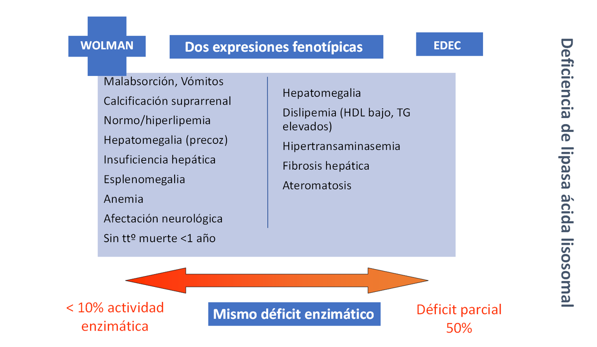 Pedro Lendinez #EnfermedadesRaras #MasVisibles (@pelendinez) on Twitter photo <a href="/HospitalLaFe/">HospitalLaFe</a> <a href="/Aecom_EIM/">AECOM, Asociación Española para estudio de los ECM</a> <a href="/AECOMySociedad/">AECOM&Sociedad</a> <a href="/OSIEECruces/">OSI EEC - Hospital Universitario Cruces</a> <a href="/SanofiES/">Sanofi España</a> <a href="/RarasReales/">Raras pero Reales</a> <a href="/Nutricia_es/">Nutricia España</a> <a href="/osakidetzaEJGV/">Osakidetza</a> <a href="/pediatriaHUVR/">Pediatría y Áreas Específicas HUVR</a> <a href="/HospitalUVRocio/">HospitalUVRocio</a> <a href="/aepediatria/">AEP</a> <a href="/grupo_ihp/">IHP Pediatría</a> <a href="/NoInvisibles/">RarasNoInvisibles</a> <a href="/campussanofi/">Campus Sanofi</a> <a href="/MPSpapas/">MPS papás</a> La Dra. Inmaculada García Jiménez del #HUMiguelServet nos actualiza sobre Deficiencia de lipasa ácida lisosomal con un caso clínico en #ActualizacionEIM
Dos expresiones fenotípicas:
Wolman
EDEC
Mismo déficit enzimático con diferente actividad enzimática.
<a href="/Aecom_EIM/">AECOM, Asociación Española para estudio de los ECM</a> <a href="/HospitalLaFe/">HospitalLaFe</a> <a href="/Aecom_EIM/">AECOM, Asociación Española para estudio de los ECM</a> <a href="/AECOMySociedad/">AECOM&Sociedad</a> <a href="/OSIEECruces/">OSI EEC - Hospital Universitario Cruces</a> <a href="/SanofiES/">Sanofi España</a> <a href="/RarasReales/">Raras pero Reales</a> <a href="/Nutricia_es/">Nutricia España</a> <a href="/osakidetzaEJGV/">Osakidetza</a> <a href="/pediatriaHUVR/">Pediatría y Áreas Específicas HUVR</a> <a href="/HospitalUVRocio/">HospitalUVRocio</a> <a href="/aepediatria/">AEP</a> <a href="/grupo_ihp/">IHP Pediatría</a> <a href="/NoInvisibles/">RarasNoInvisibles</a> <a href="/campussanofi/">Campus Sanofi</a> <a href="/MPSpapas/">MPS papás</a> La Dra. Inmaculada García Jiménez del #HUMiguelServet nos actualiza sobre Deficiencia de lipasa ácida lisosomal con un caso clínico en #ActualizacionEIM
Dos expresiones fenotípicas:
Wolman
EDEC
Mismo déficit enzimático con diferente actividad enzimática.
<a href="/Aecom_EIM/">AECOM, Asociación Española para estudio de los ECM</a>