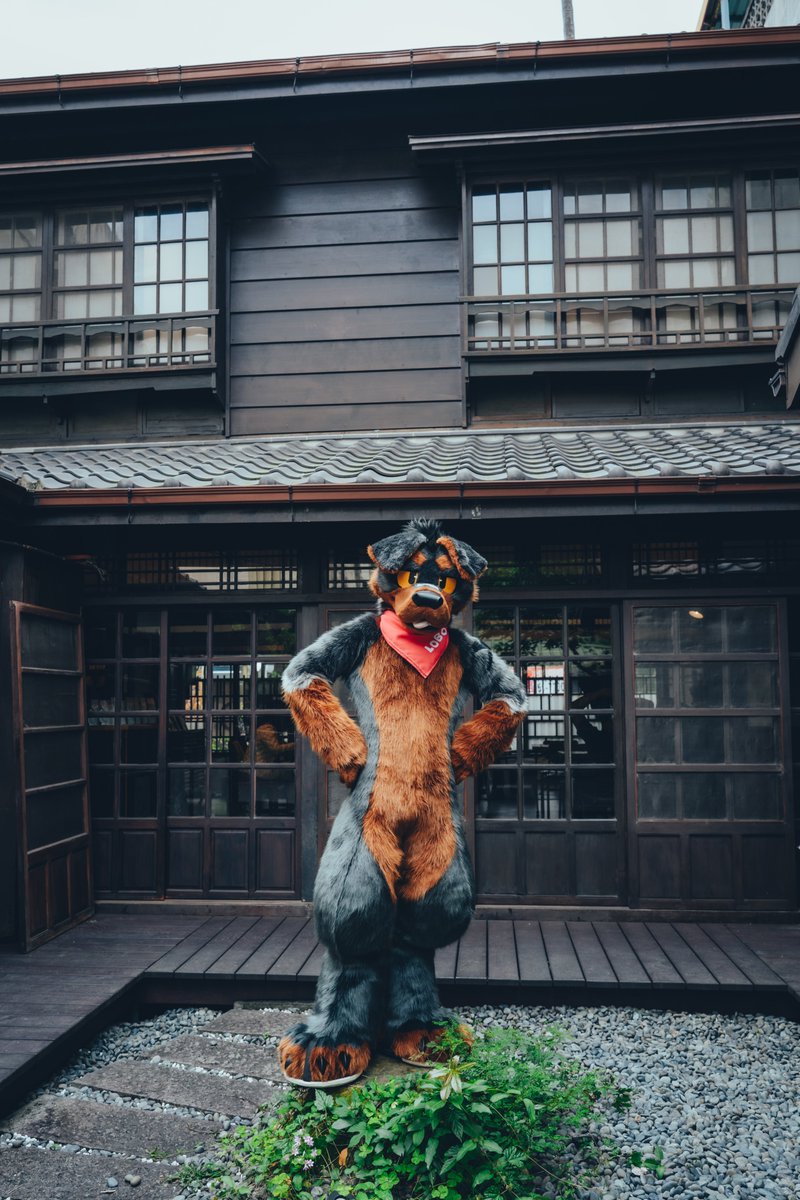 🐶💖

📷<a href="/VinTheCoyote/">VinTheCoyote</a>