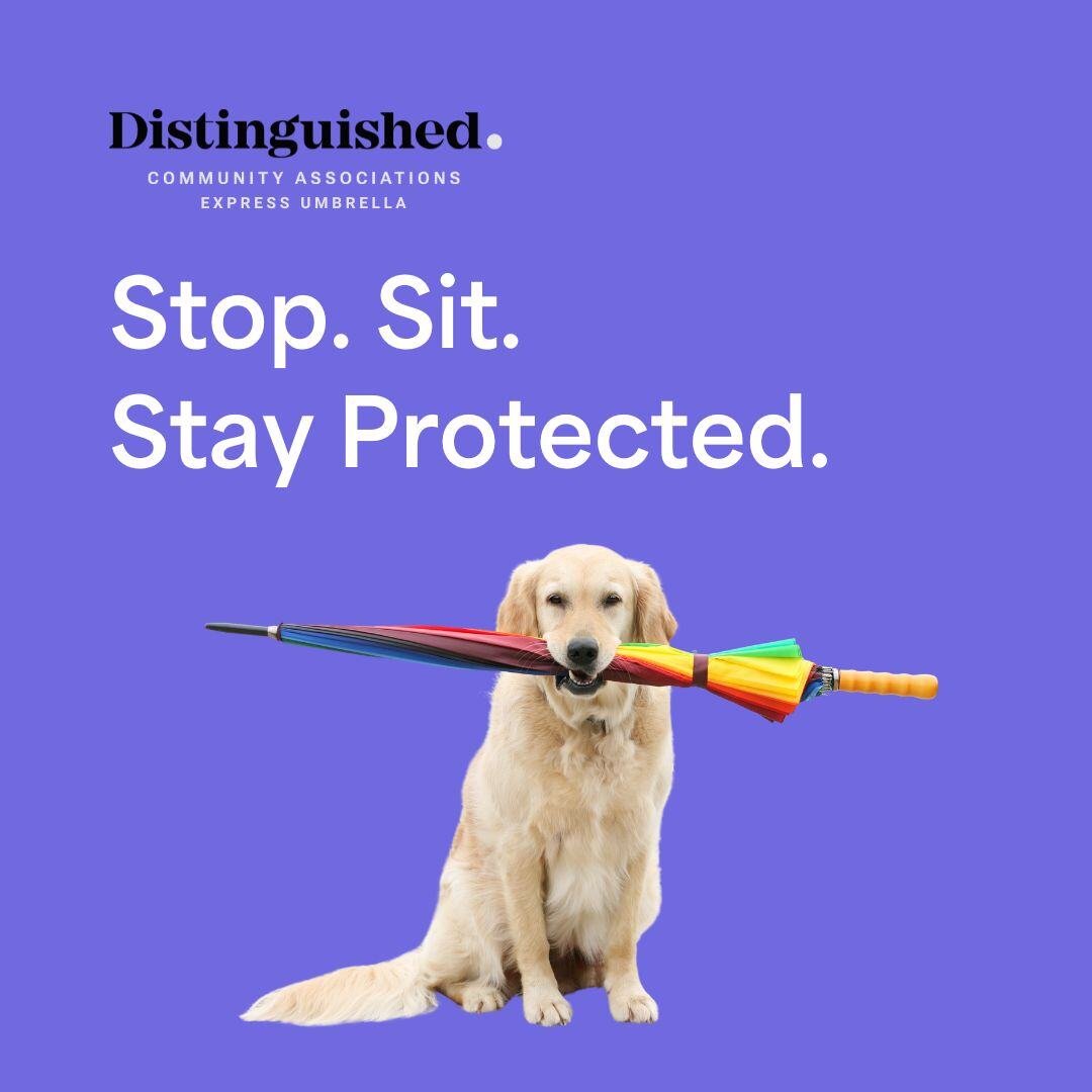 DistinguishedPG's tweet image. Stay protected with Distinguished’s Express Community Associations Umbrella insurance. Our policy can help safeguard your clients' finances.

Visit the Distinguished website to learn more: hubs.li/Q03h_Fn80

#communityassociationsinsurance #hoainsurance #umbrellainsurance