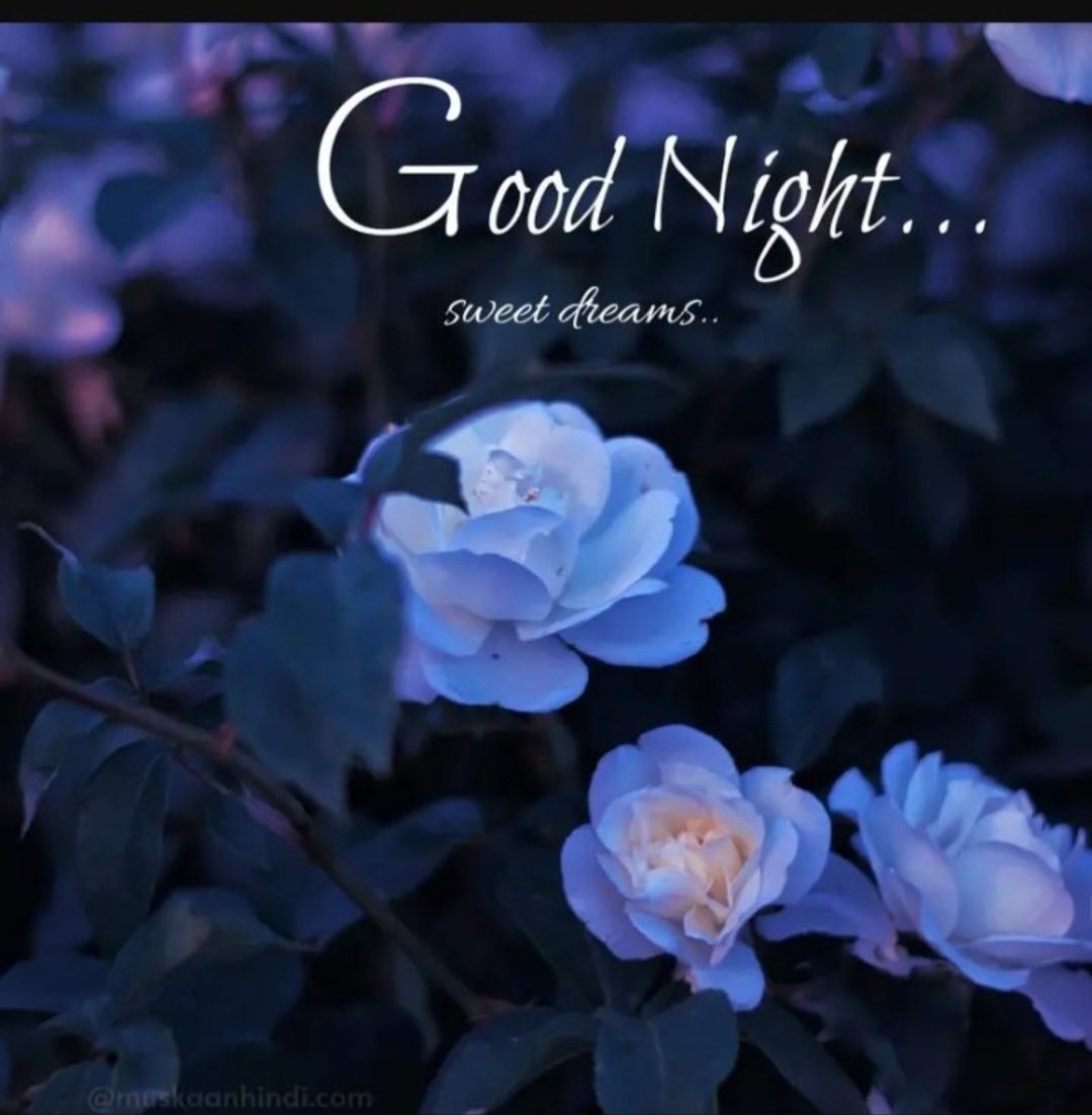 Good night x family