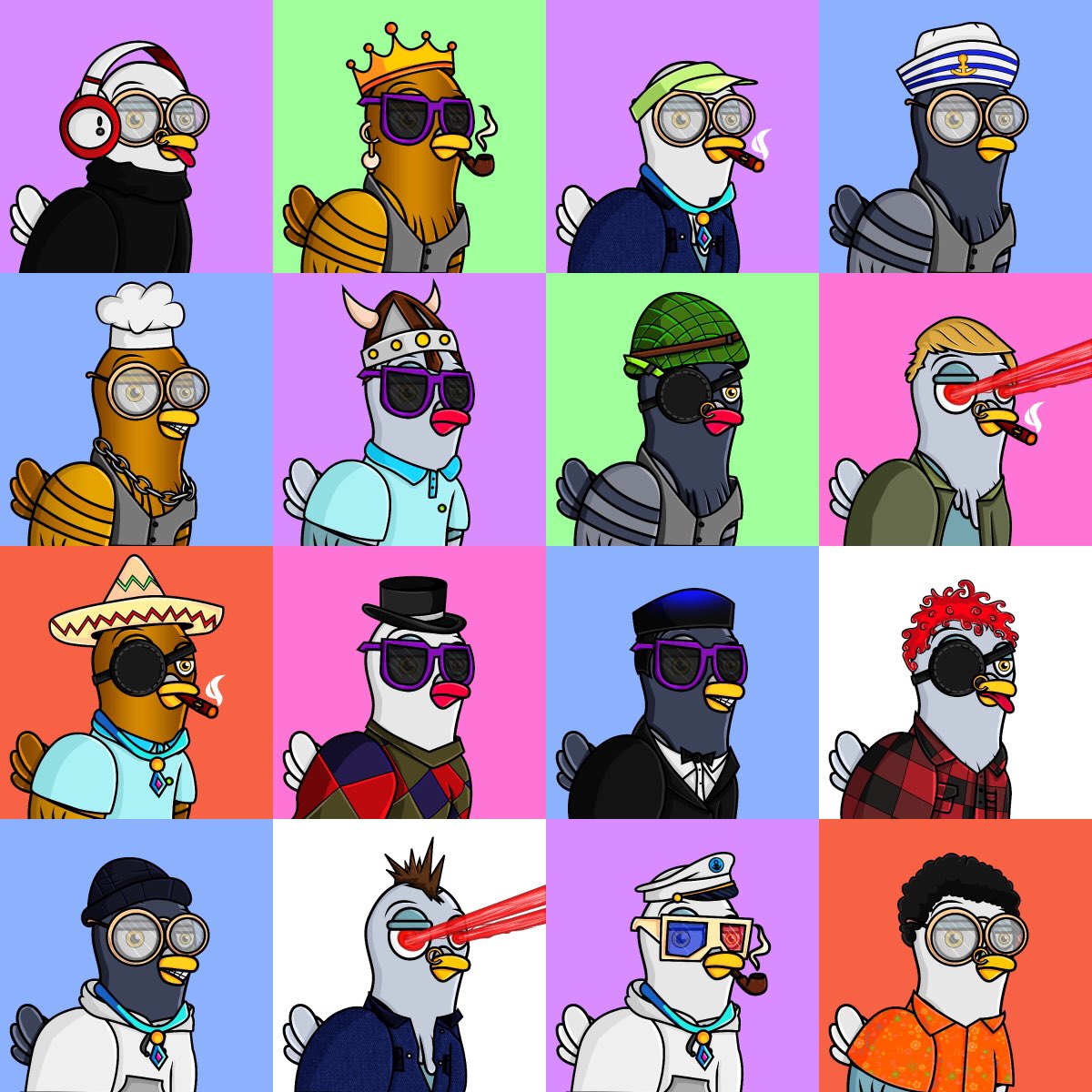 Pigeon Loft 🐦 tweet media
